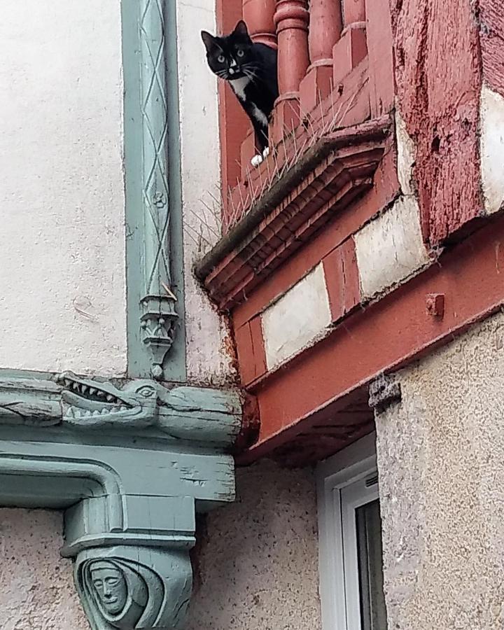 Appartamento Passage Du Cygne Blois Esterno foto